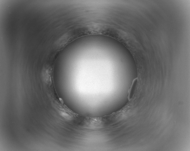 X0000071970768200607212318