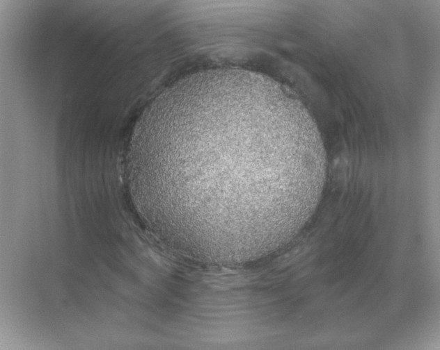 X0000071970772200607212317