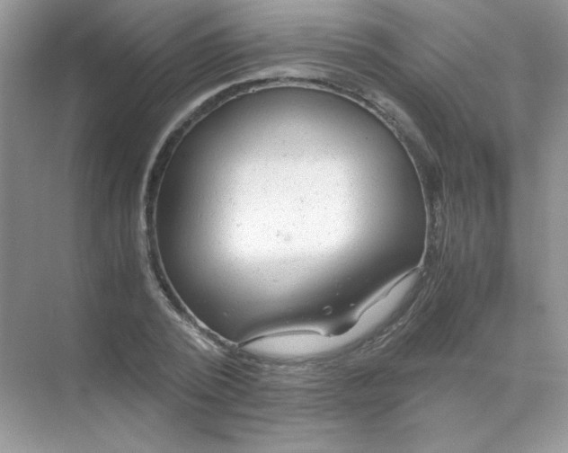 X0000071970784200607212317