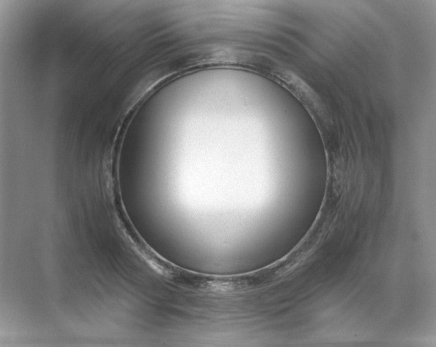 X0000071970794200607212317