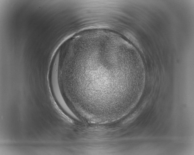 X0000071970797200607212317