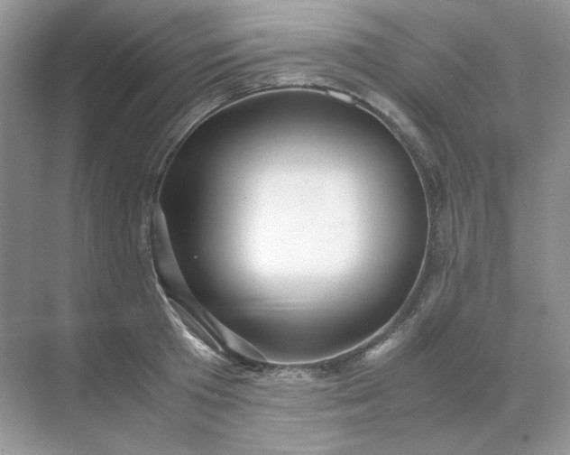 X0000071970801200607212317