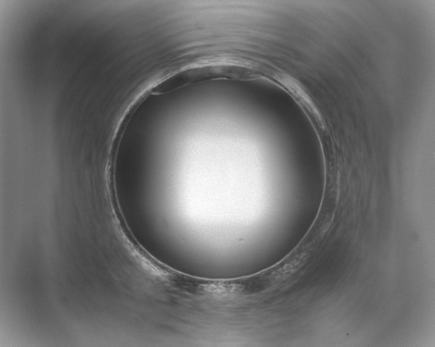 X0000071970805200607212317