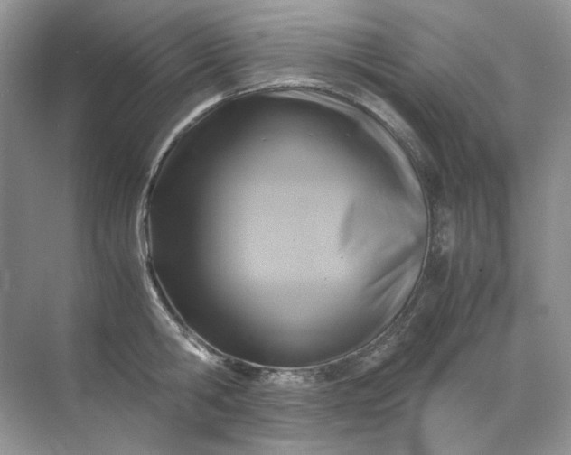 X0000071970806200607212317