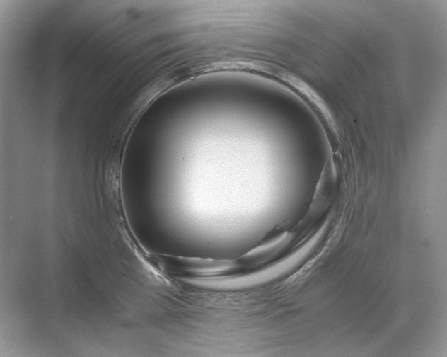 X0000071970809200607212316