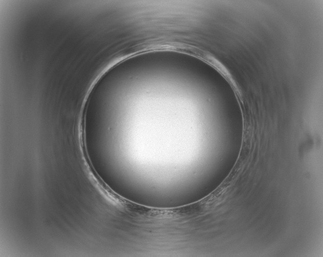 X0000071970811200607212316