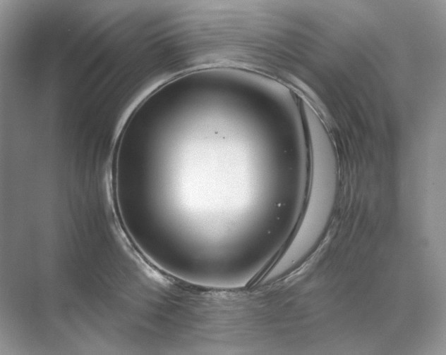 X0000071970812200607212316