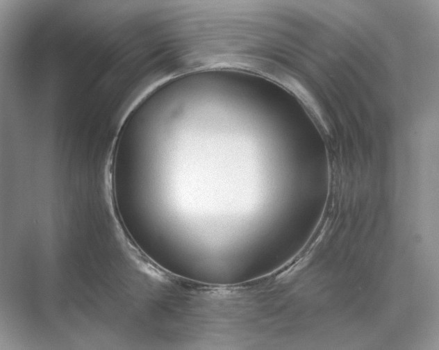 X0000071970814200607212316