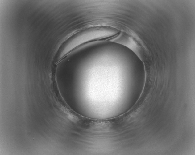 X0000071970826200607212316
