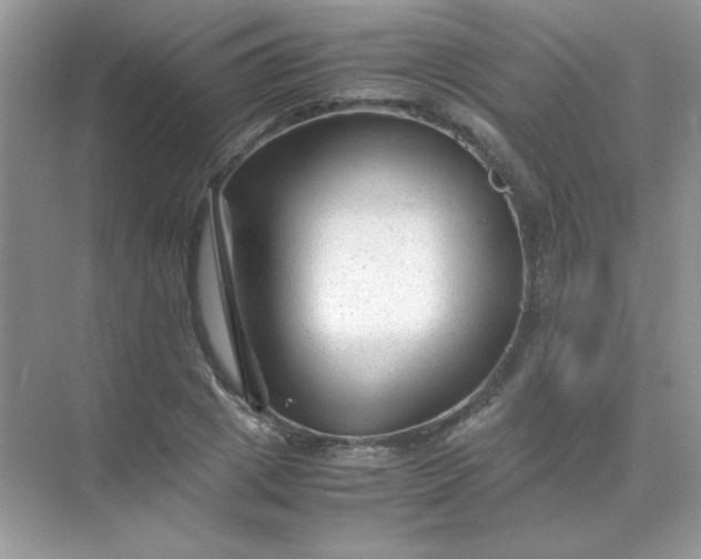 X0000071970833200607212316