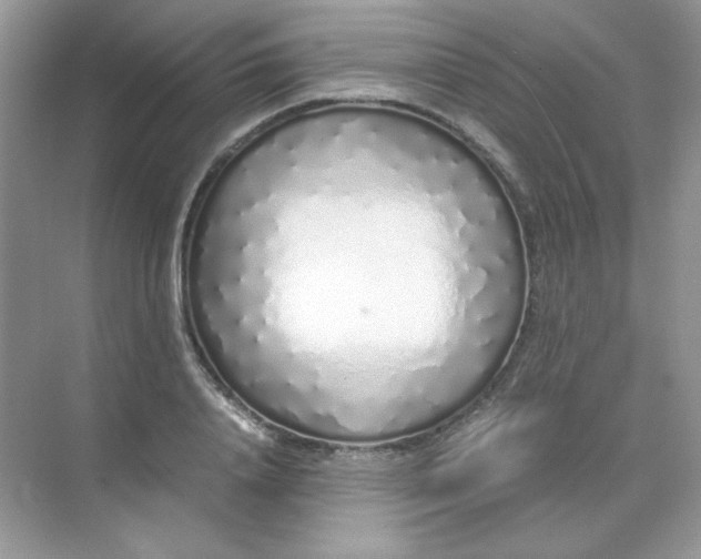 X0000071970840200607212316