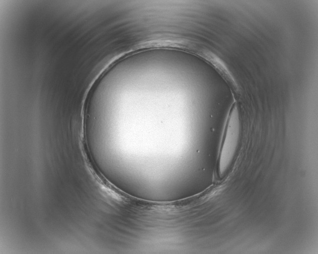 X0000071970844200607212316