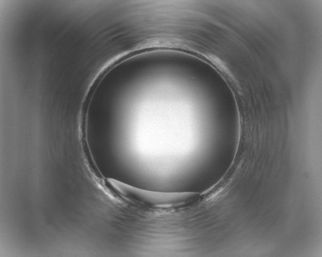 X0000071970846200607212316