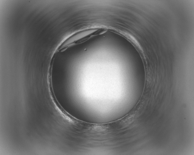 X0000071970847200607212316