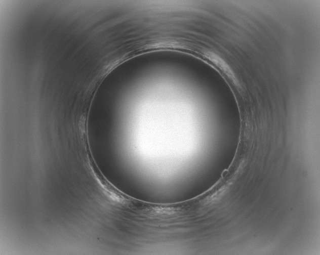 X0000071970849200607212316