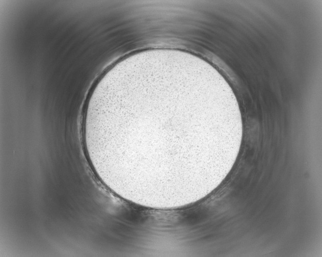 X0000071970856200607212316