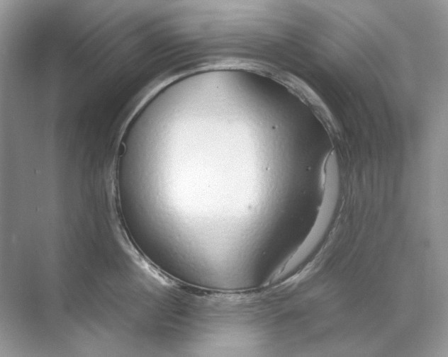 X0000071970860200607212316