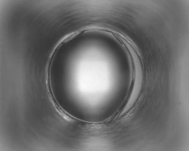 X0000071970862200607212316