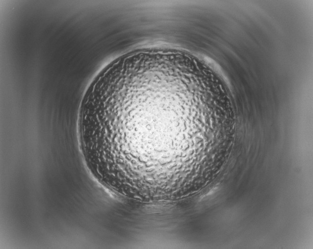 X0000071970863200607212316