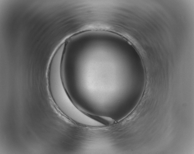 X0000071970864200607212316