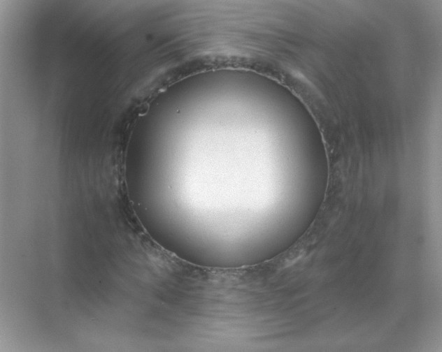 X0000071970870200607212315