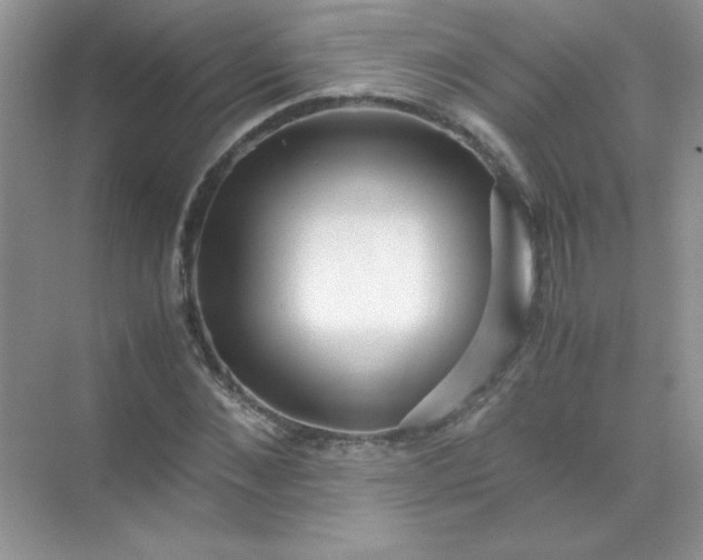 X0000071970876200607212315