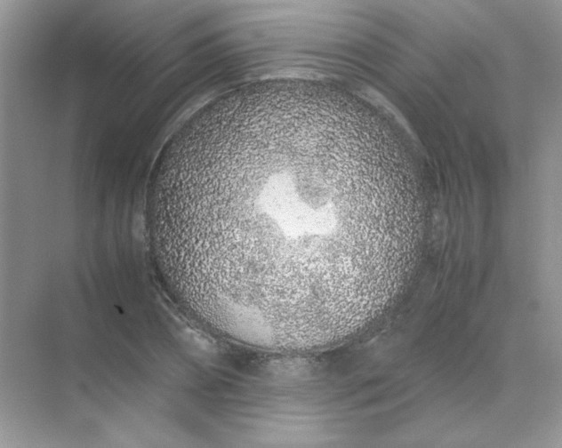 X0000071970882200607212315