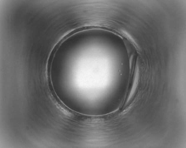 X0000071970884200607212315