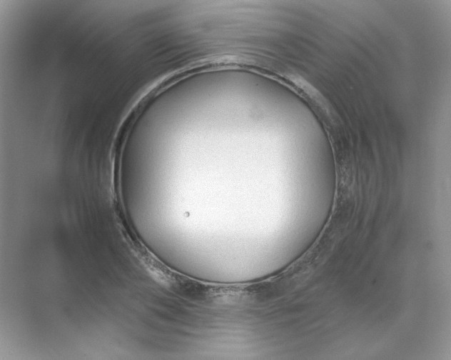 X0000071970886200607212315