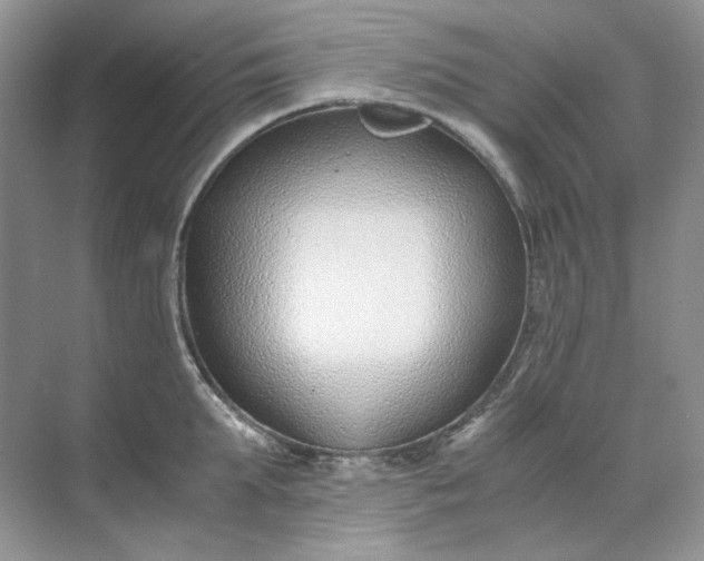 X0000071970903200607212315