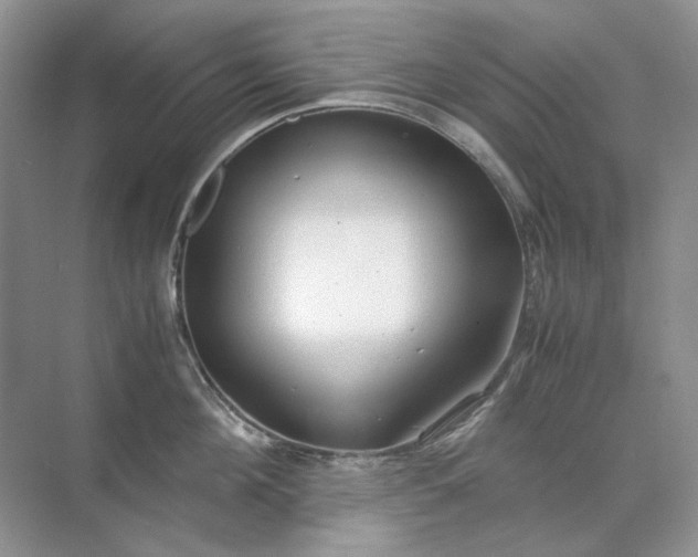 X0000071970908200607212315