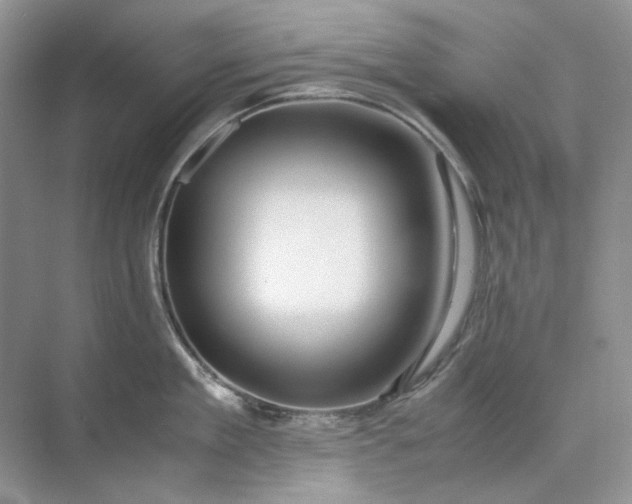 X0000071970909200607212315