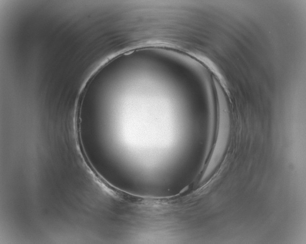 X0000071970910200607212315