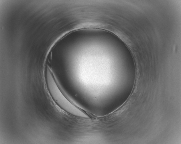 X0000071970912200607212315
