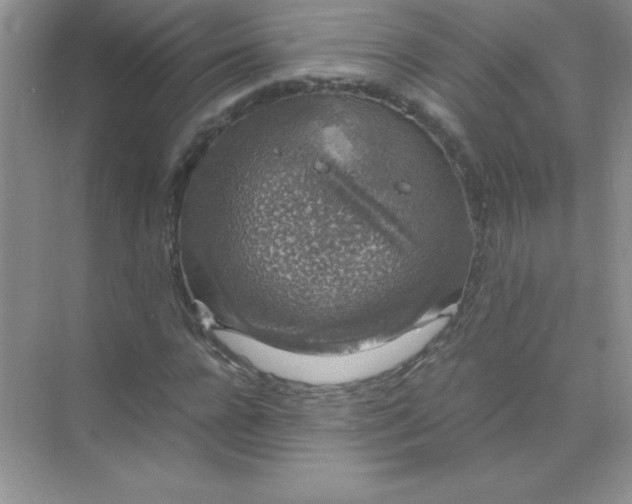 X0000071970920200607212314