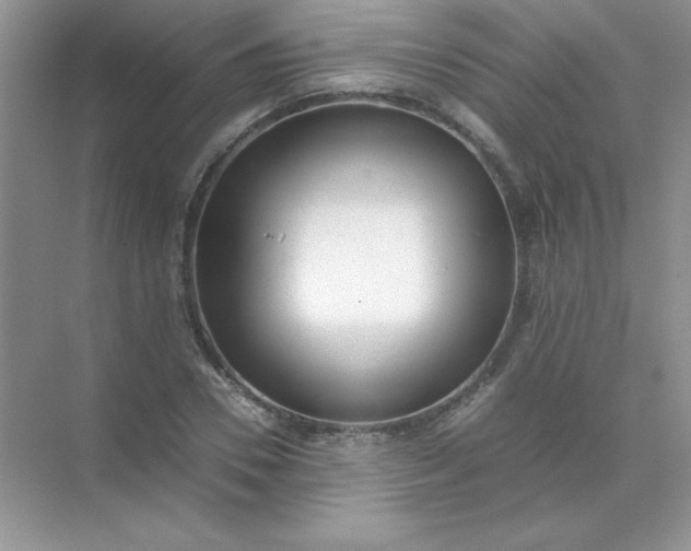 X0000071970930200607212314
