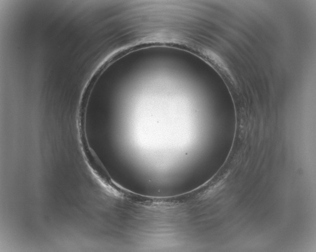 X0000071970942200607212314