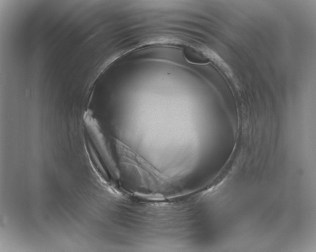 X0000071970945200607212314