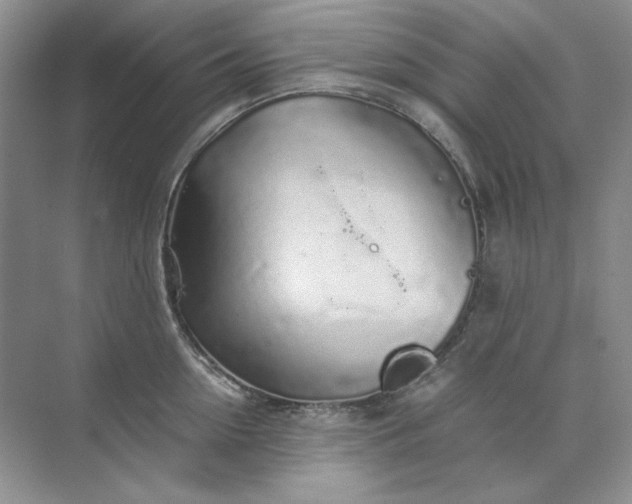 X0000071970954200607212315