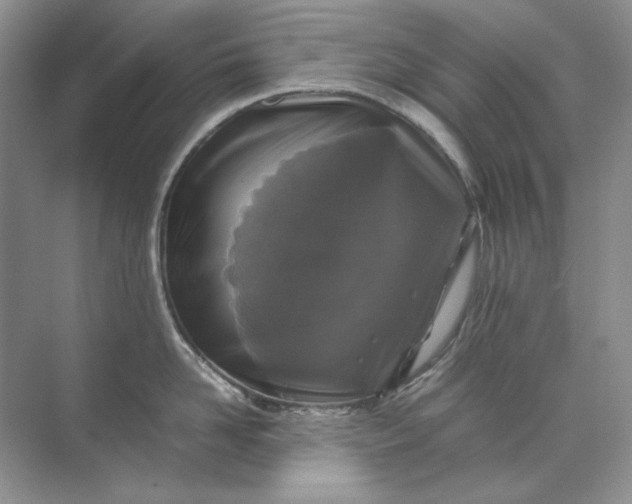 X0000071970958200607212315