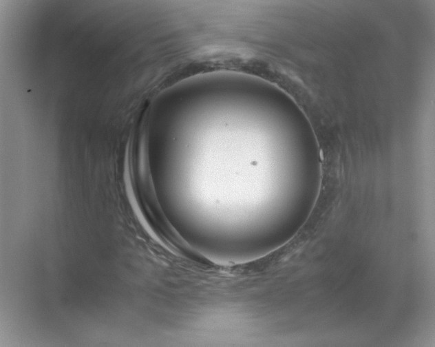 X0000071970965200607212314