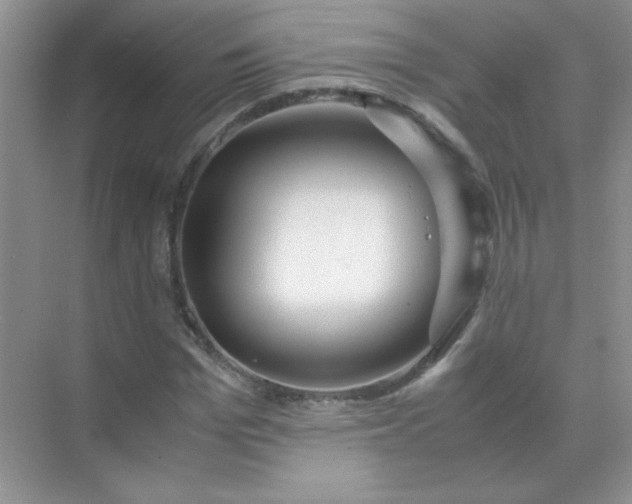 X0000071970969200607212314