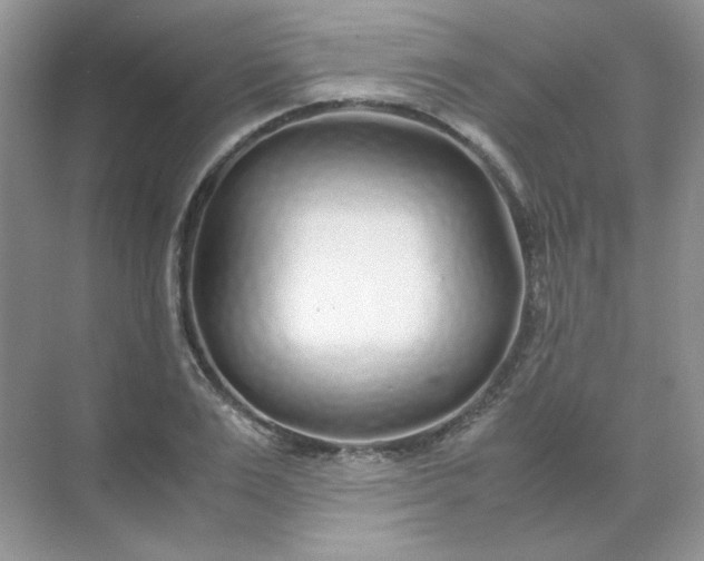 X0000071970983200607212314