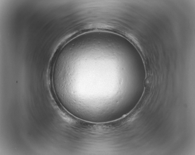 X0000071970987200607212313