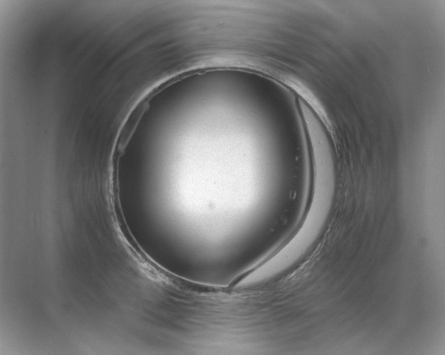 X0000071970996200607212313