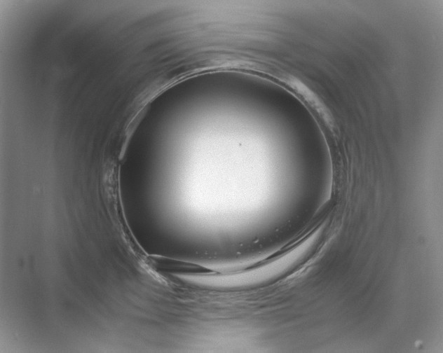 X0000071971001200607212313