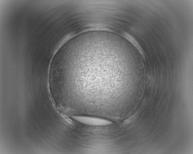 X0000071971002200607212313