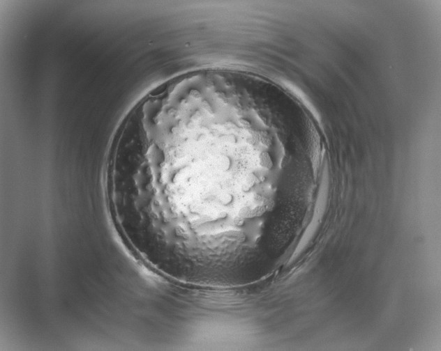 X0000071971007200607212313