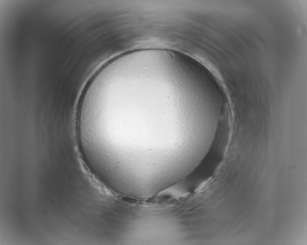 X0000071971008200607212313