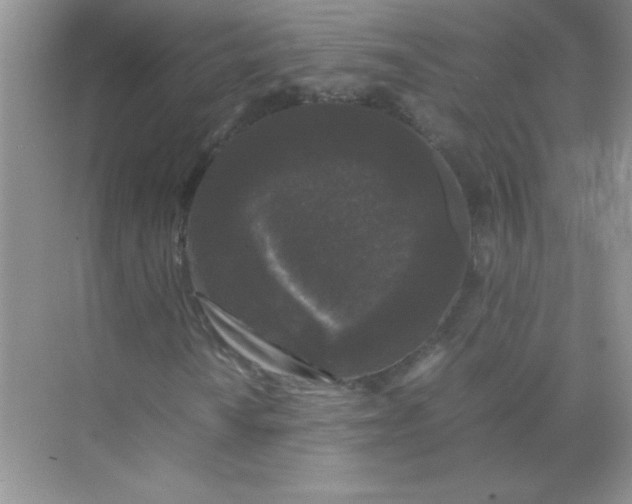 X0000071971010200607212312